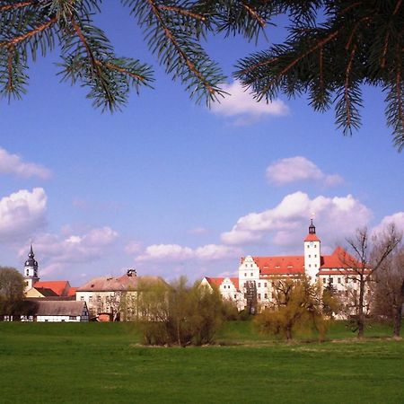 Parkhotel Pretzsch Bad Schmiedeberg Dış mekan fotoğraf