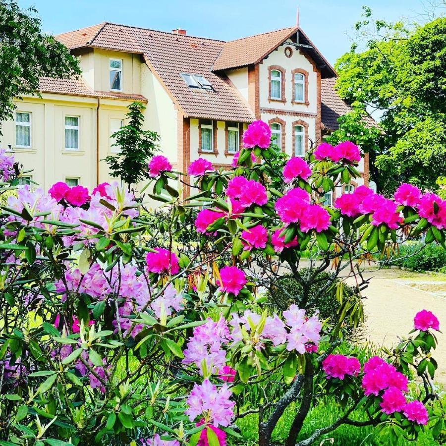 Parkhotel Pretzsch Bad Schmiedeberg Dış mekan fotoğraf