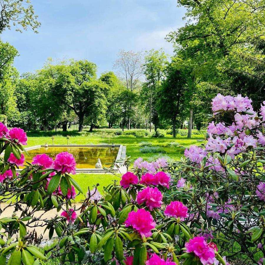 Parkhotel Pretzsch Bad Schmiedeberg Dış mekan fotoğraf