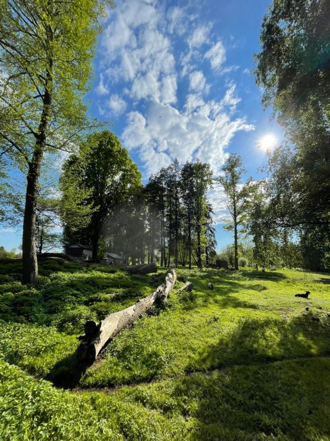 Parkhotel Pretzsch Bad Schmiedeberg Dış mekan fotoğraf