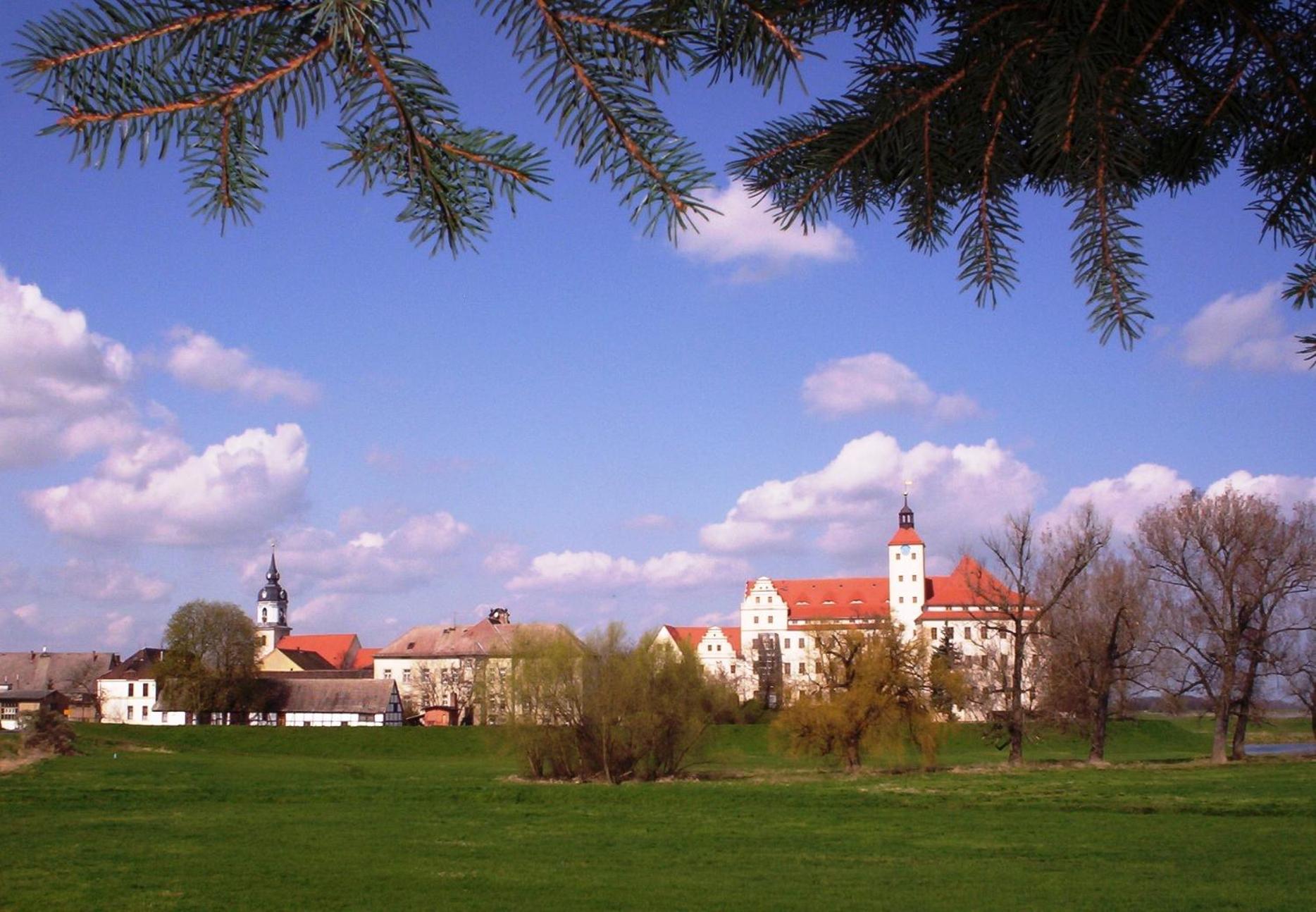 Parkhotel Pretzsch Bad Schmiedeberg Dış mekan fotoğraf