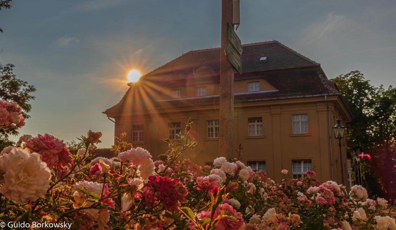 Parkhotel Pretzsch Bad Schmiedeberg Dış mekan fotoğraf