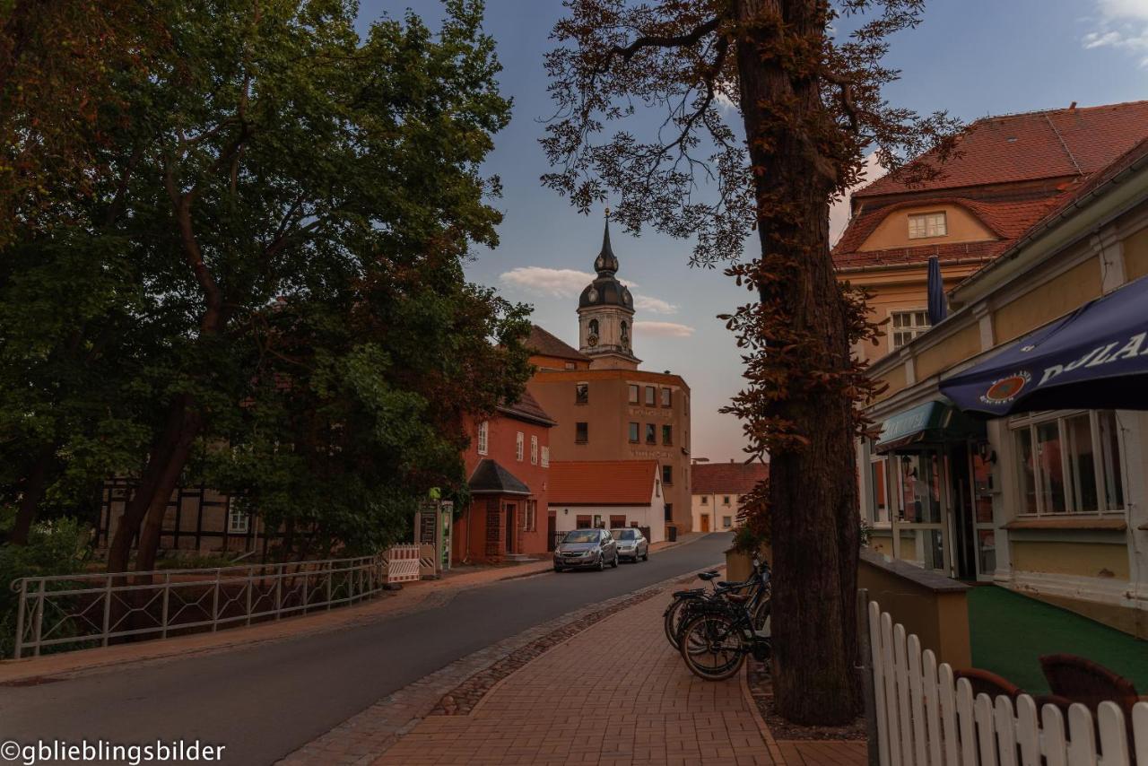 Parkhotel Pretzsch Bad Schmiedeberg Dış mekan fotoğraf